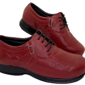 DM 06